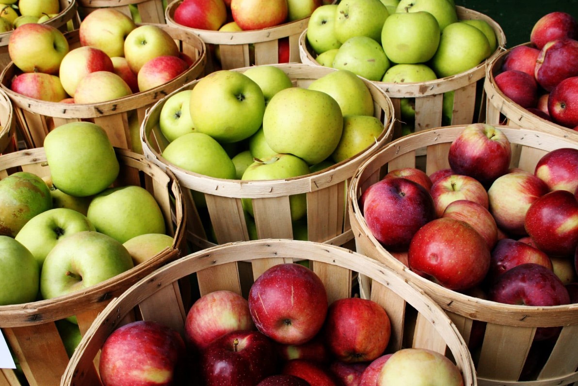 How Organic Apples Can Help Maintain Health and Weight