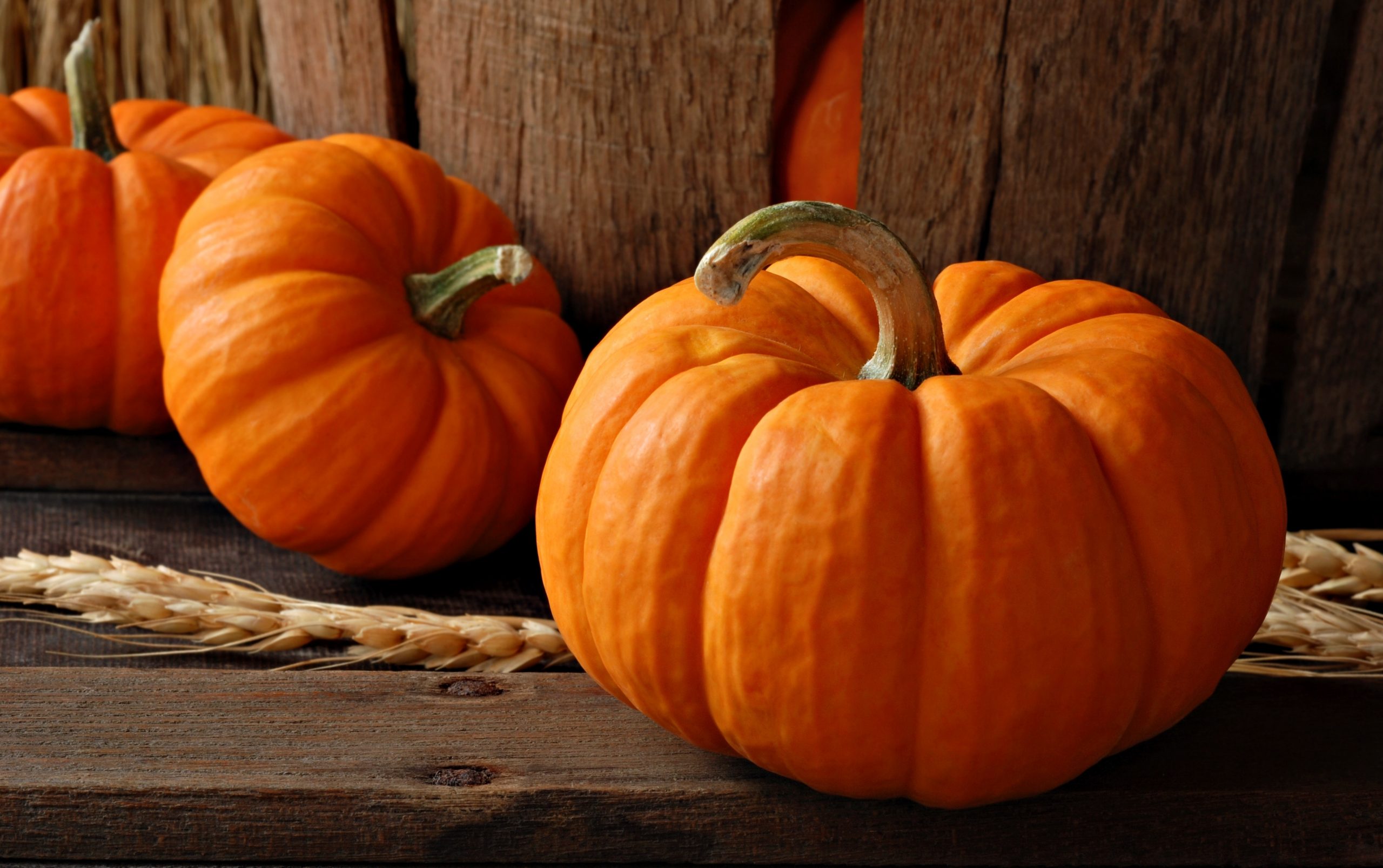 Nutritional Power of Organic Pumpkin: Not Just for Halloween