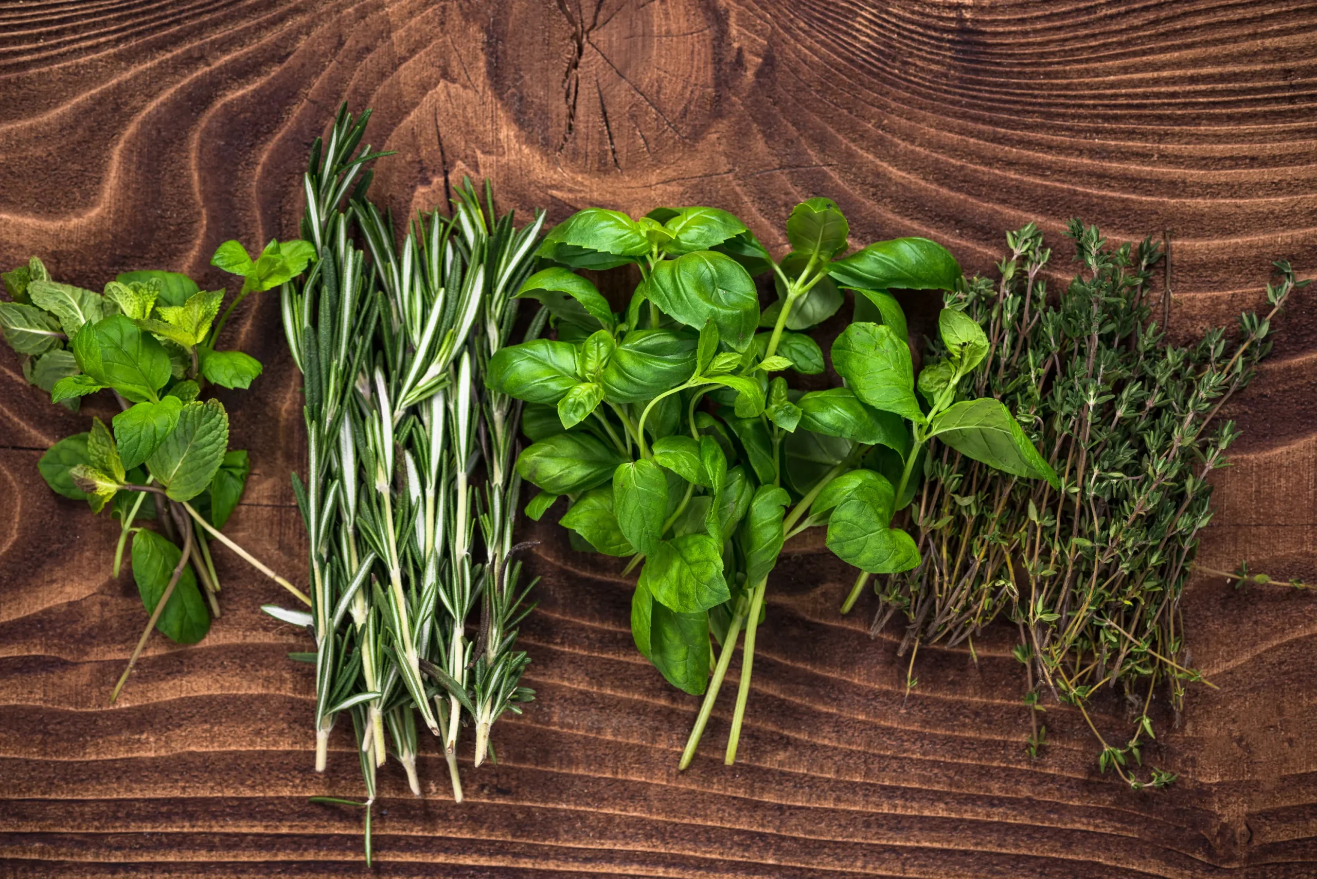 Organic Fresh Herbs: Elevating the Nutritional Value and Aroma of Your Food