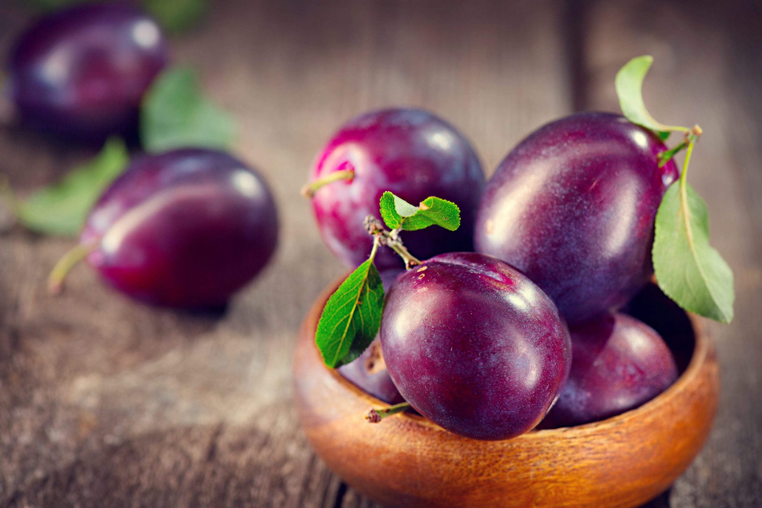 Bone Health and Organic Plums: The Importance of Vitamin K and Antioxidants