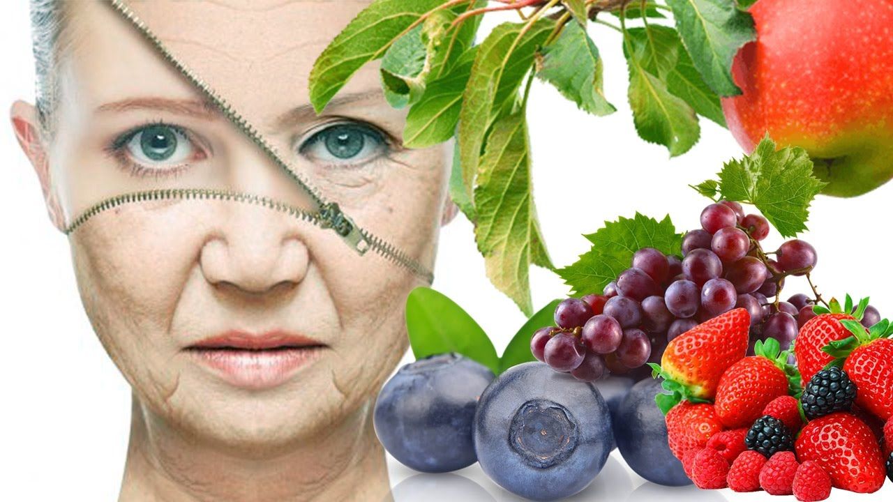 Anti-Aging Diets: Foods That Help Maintain Youthfulness