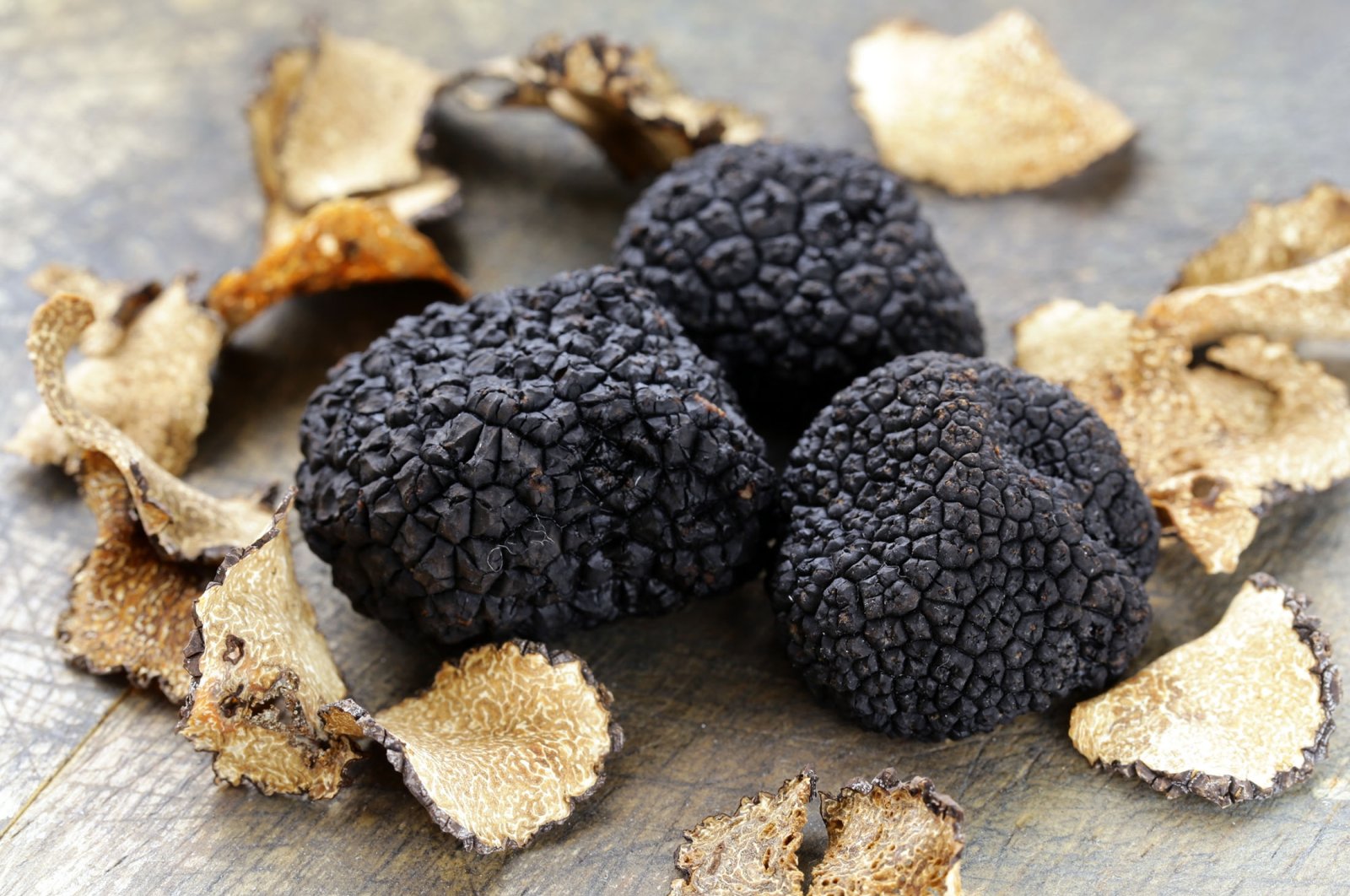 The Mystery of Truffles: Nature's Edible Treasure