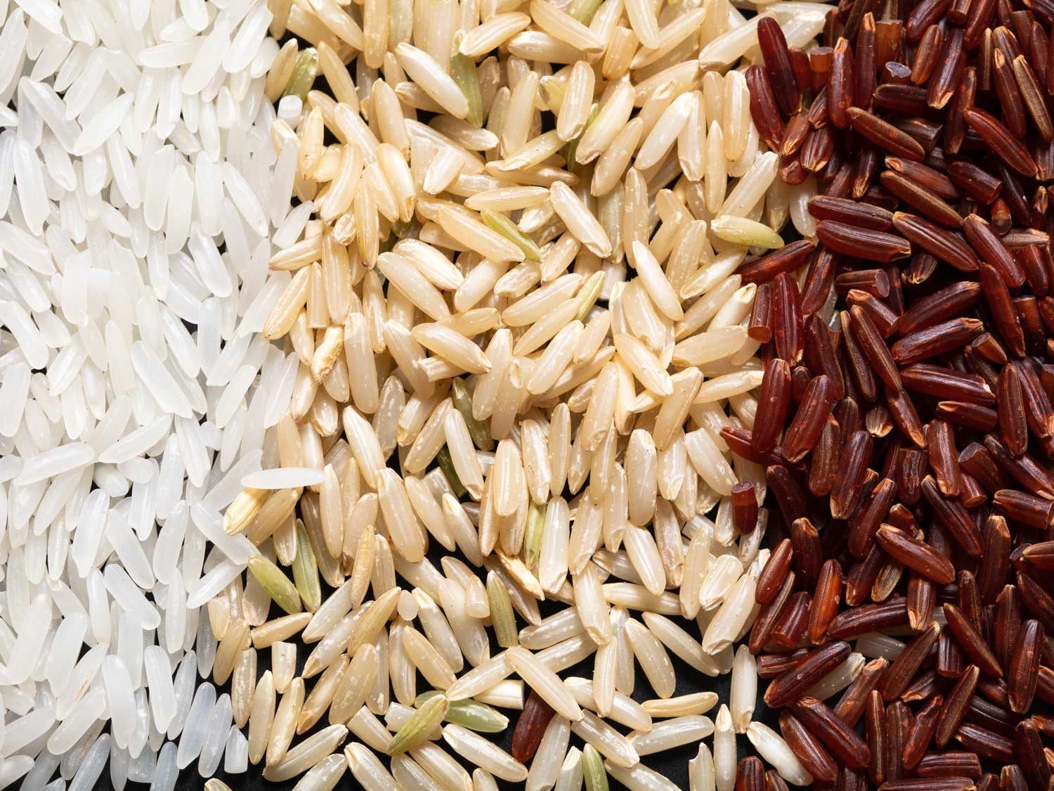 The Many Faces of Rice: A Diverse World of Grains