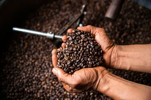 The Journey of Coffee Beans: From Farm to Cup